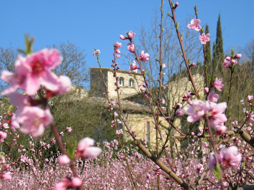 Maison D'Hotes Les Fougeres Mirmande Buitenkant foto